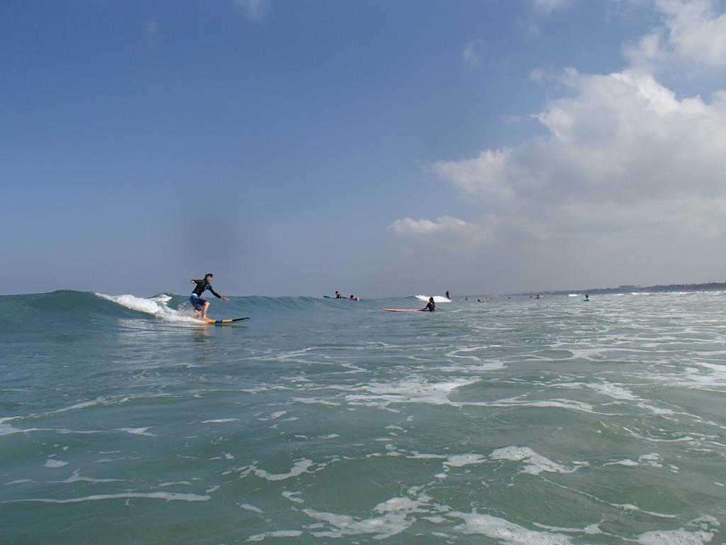 Puri Burung * Canggu (Bali)