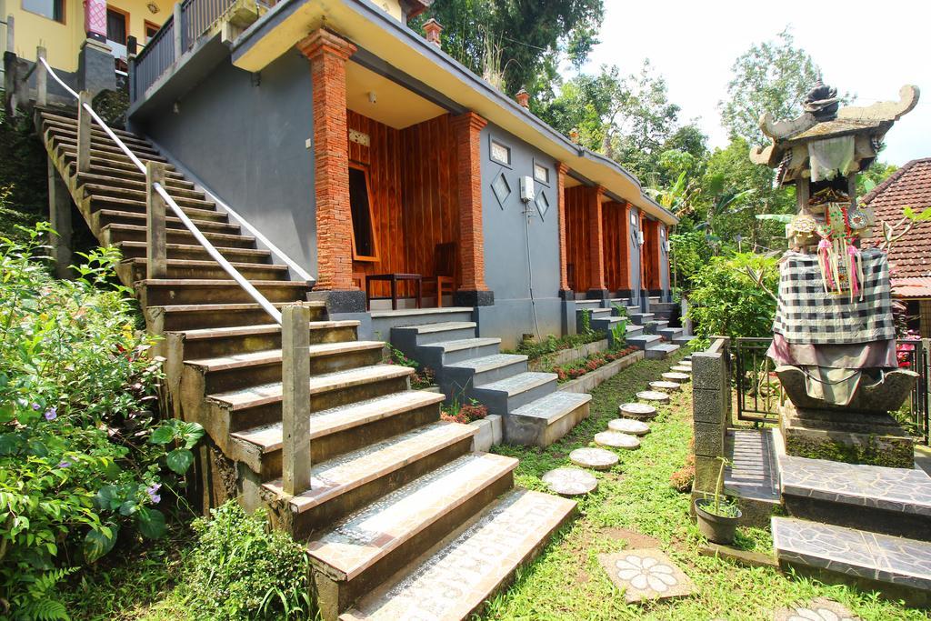 Homestay Edy *