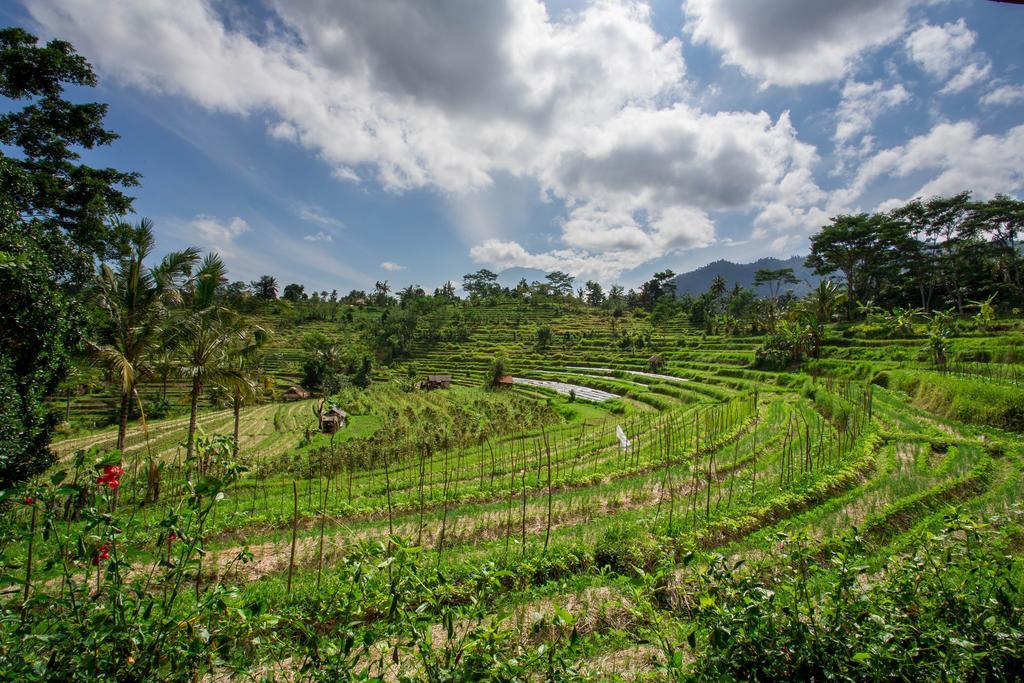 Guest house Subak Tabola Sidemen (Bali)