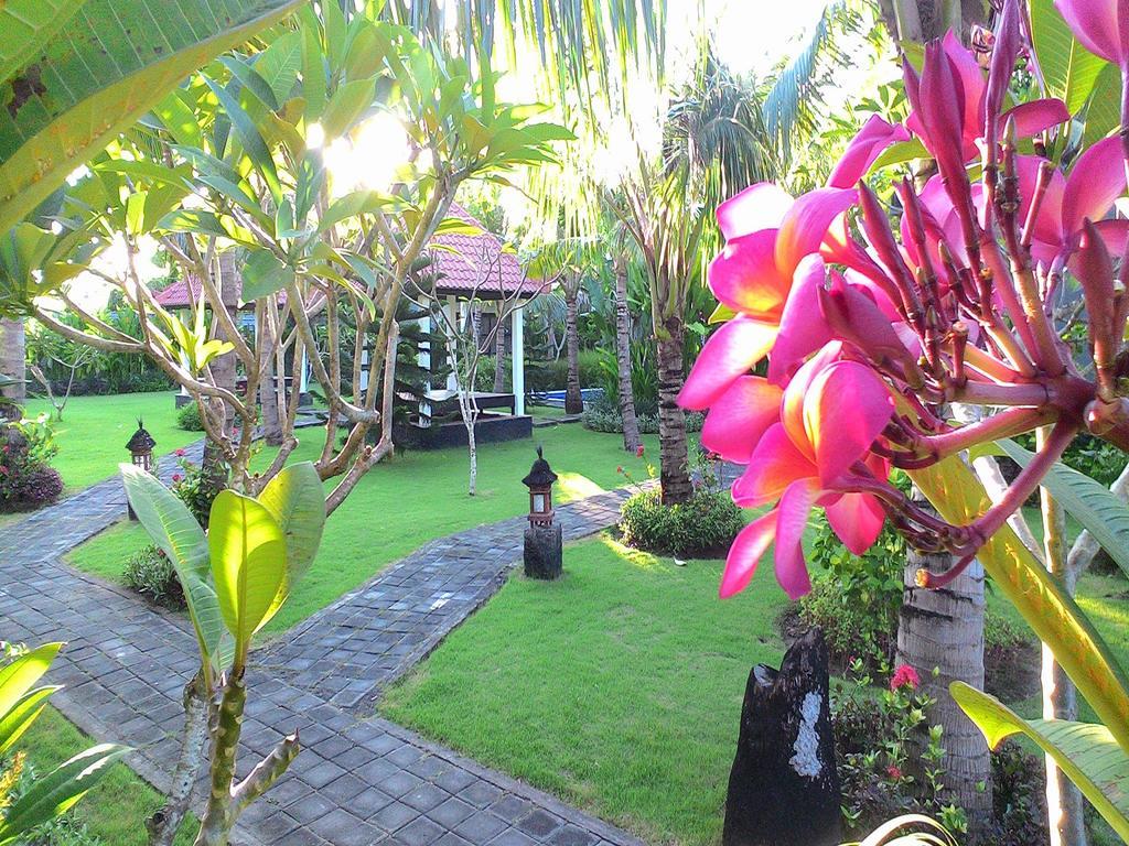D'mell Bali