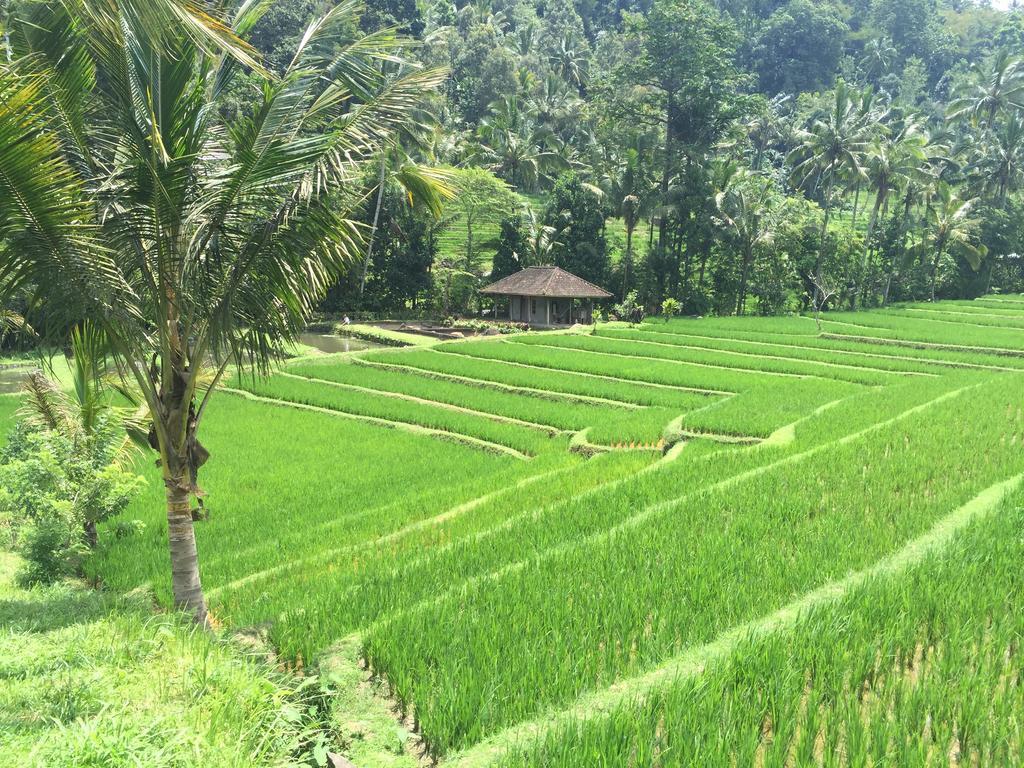 Maylie Bali Villa