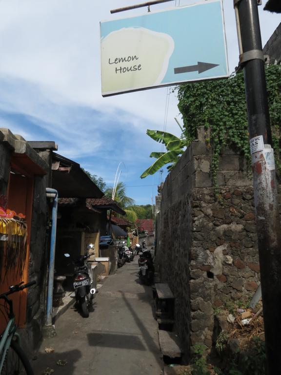Hostel Lemon House