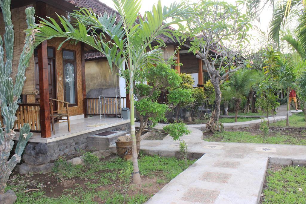 Coconut & Warung 2*