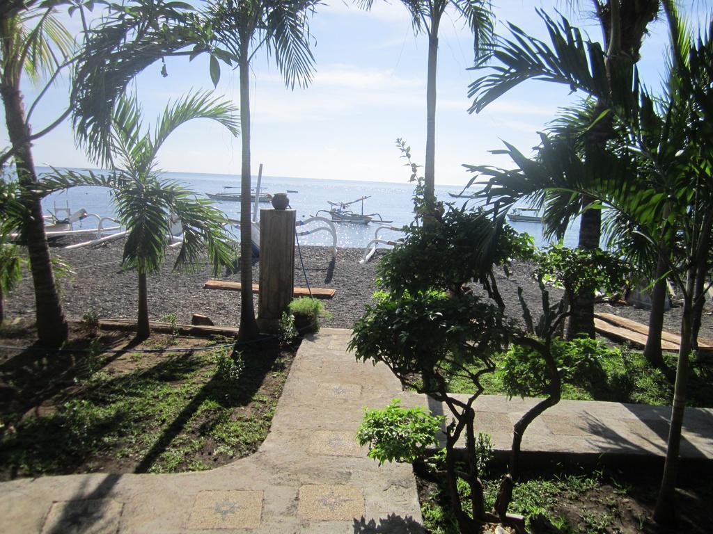Coconut & Warung Guest house