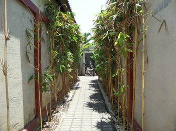 Tanjung Lima Seminyak Villa