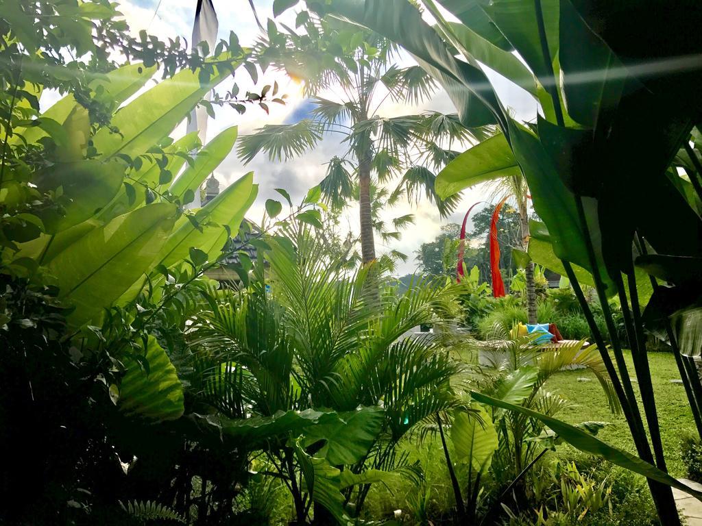 Wisma tamu Mossca Mooi