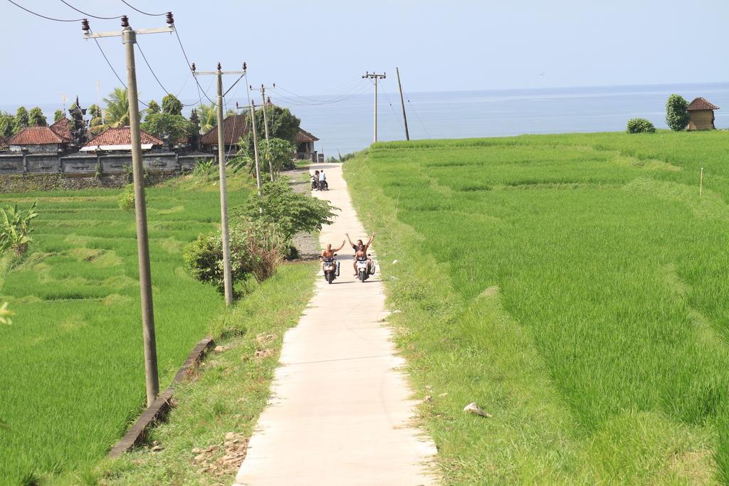 Guest house Medewi Secret Surfcamp