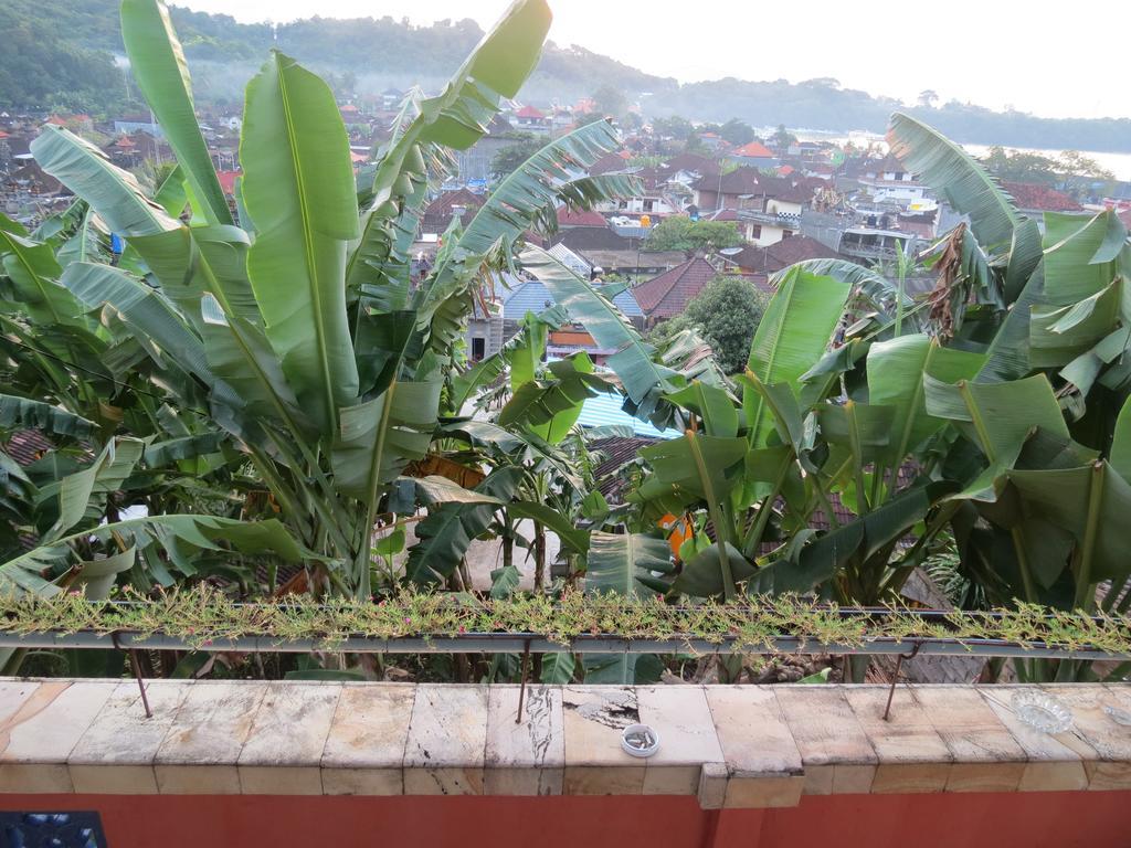 Hostel Lemon House