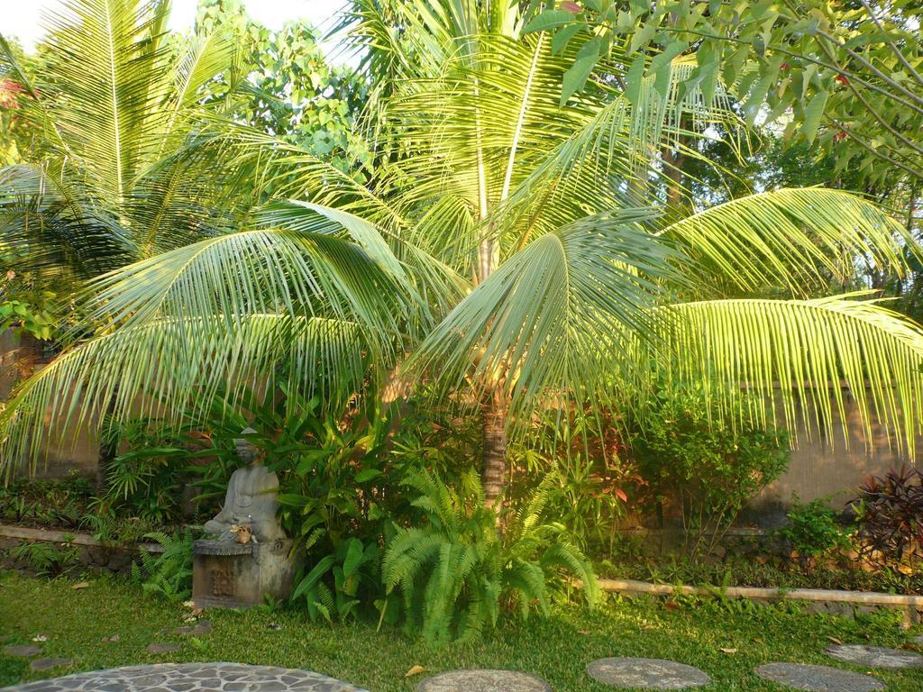 Sananda Lovina (Bali)