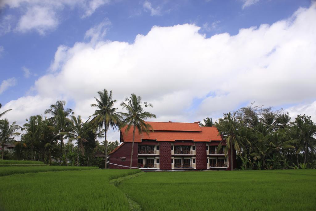 Junjungan And Guest house