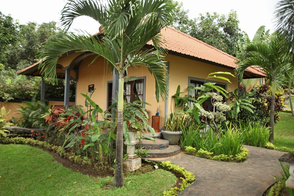 Puri Mangga Sea View And 4* Lovina (Bali)