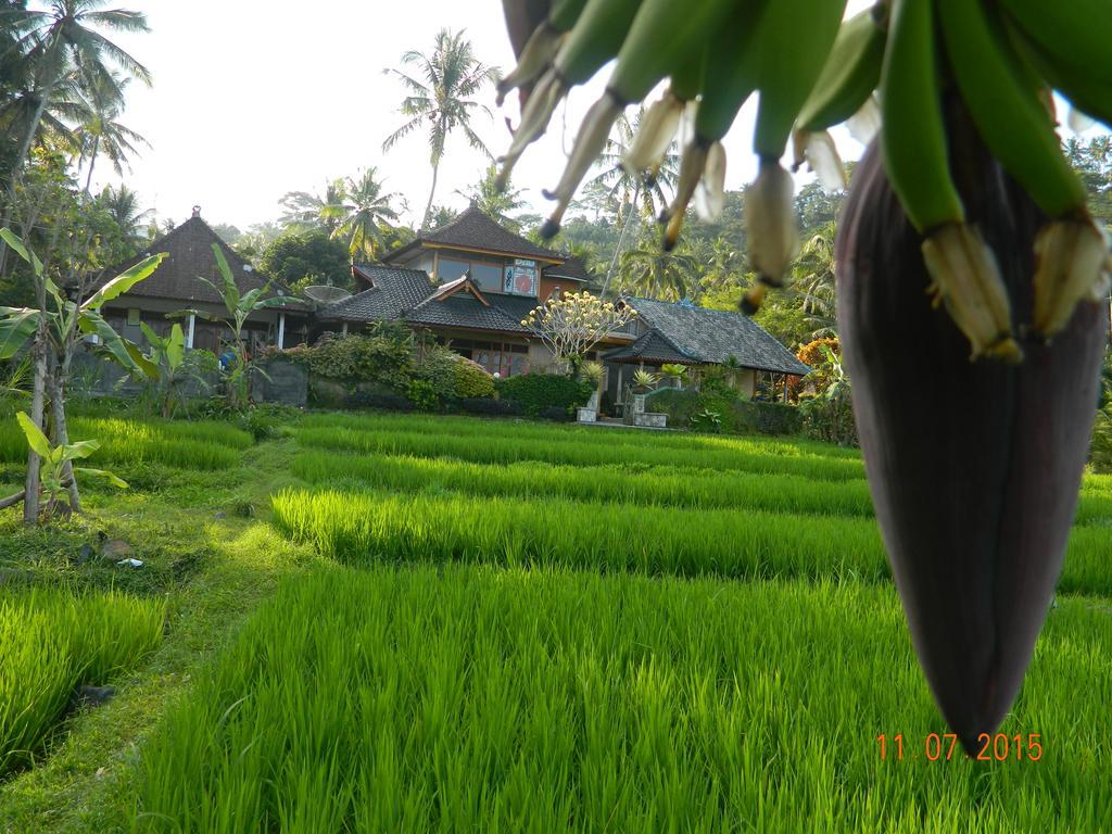 Dau Karangasem (Bali)