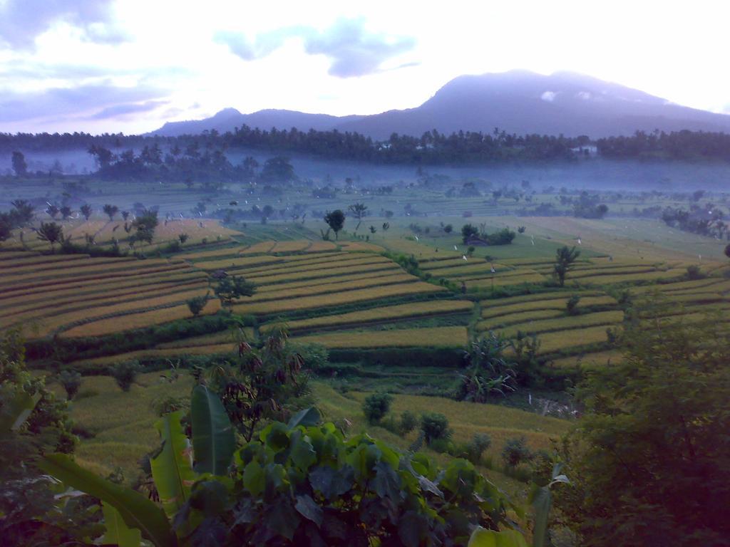 Dau Homestay *