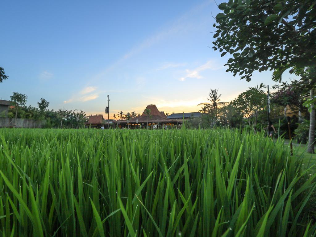 Alaya Resort