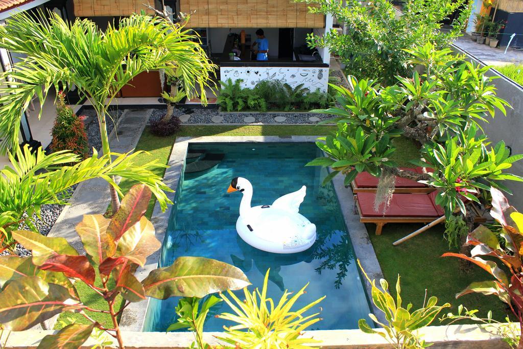 Homestay Surf Canggu (Bali)