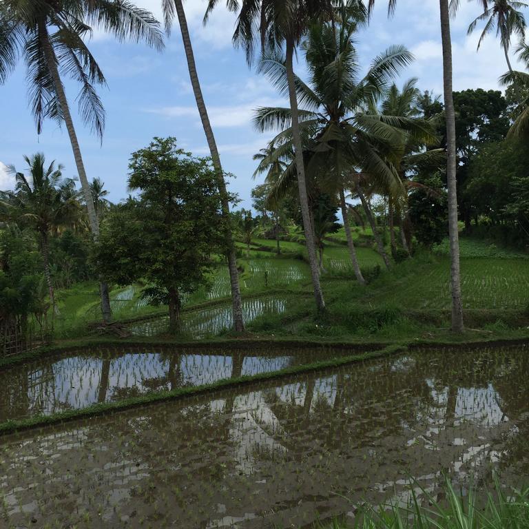 Guest house Bukit Asri 4*