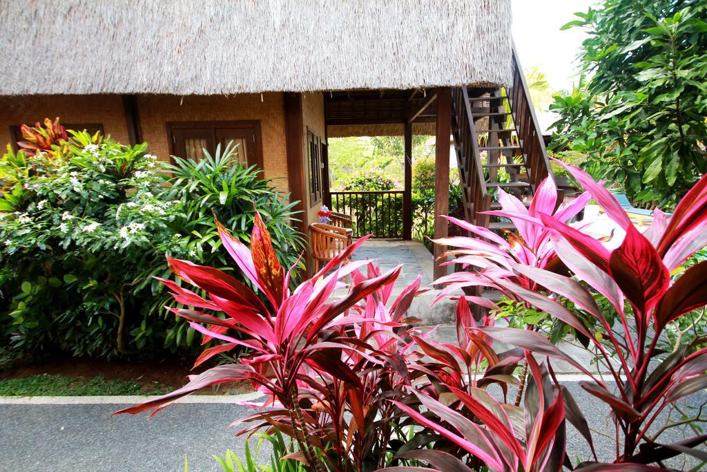 Guest house Rambo *