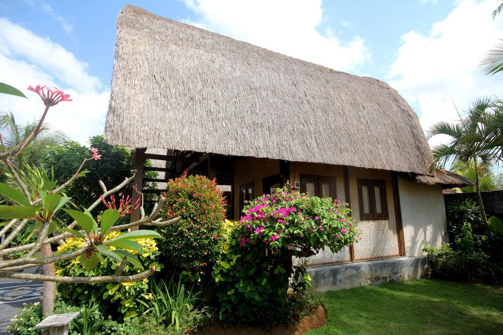 Guest house Rambo