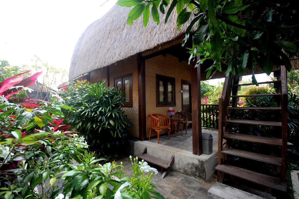 Guest house Rambo