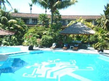 Palm Bali