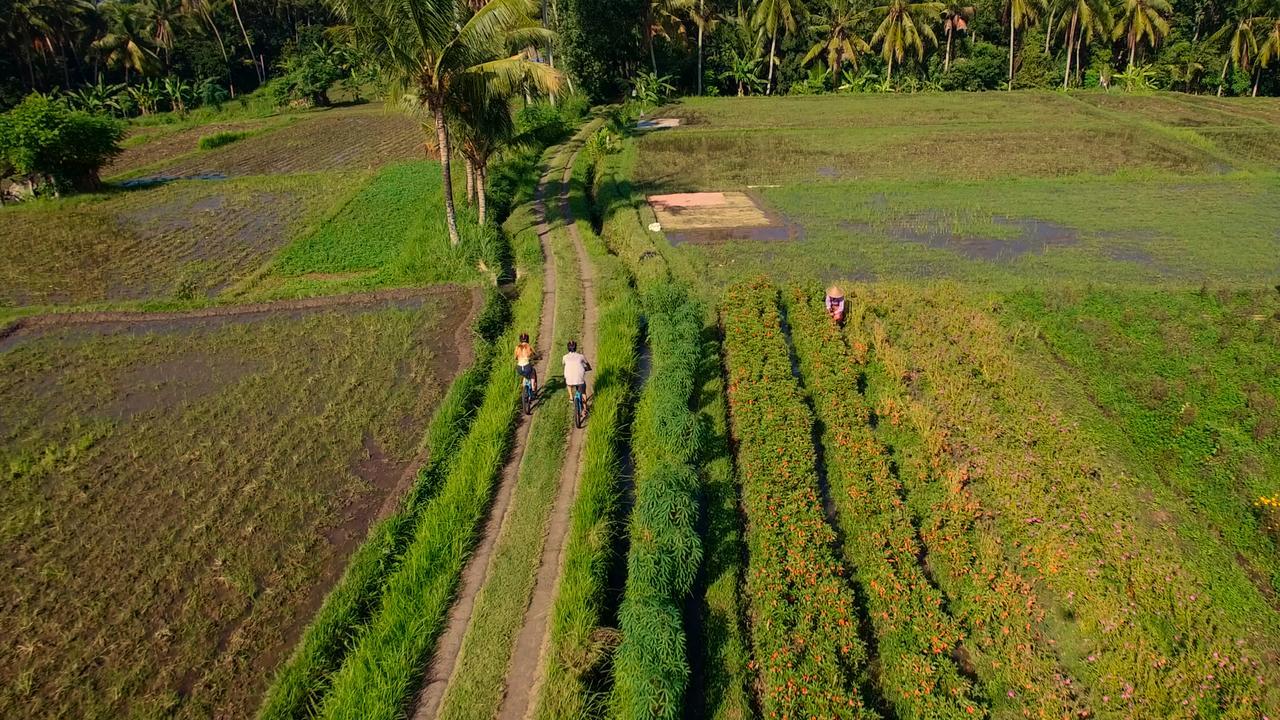 Resor Puri Taman Sari Tabanan (Bali)