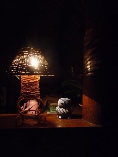 Coconuts Hummingbird Jimbaran (Bali)