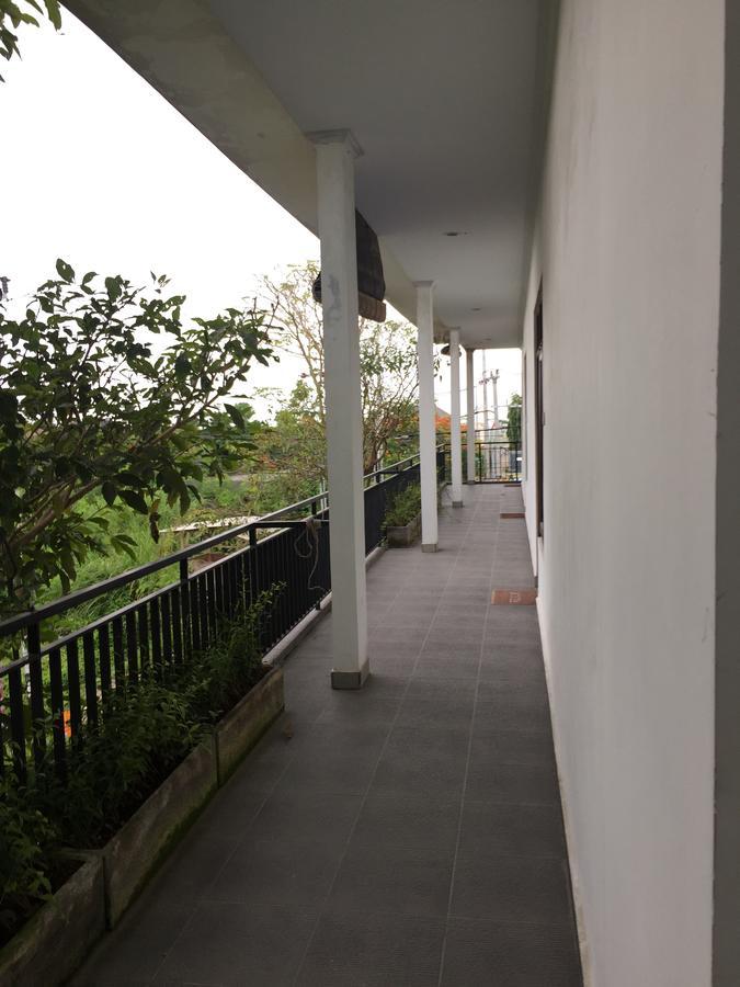Homestay Grass Terrace