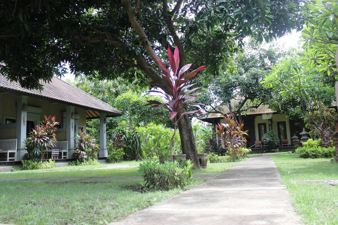 Homestay Bali Gecko *