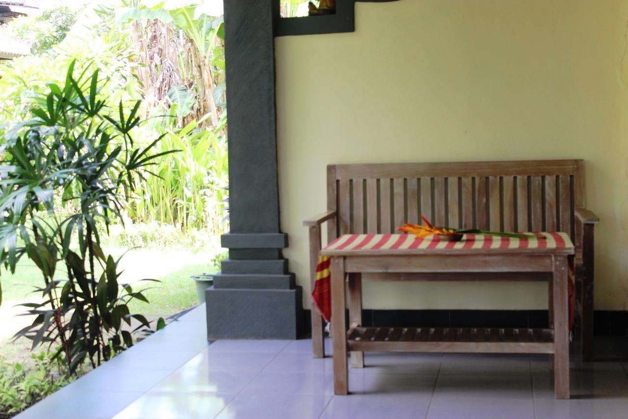 Bali Gecko