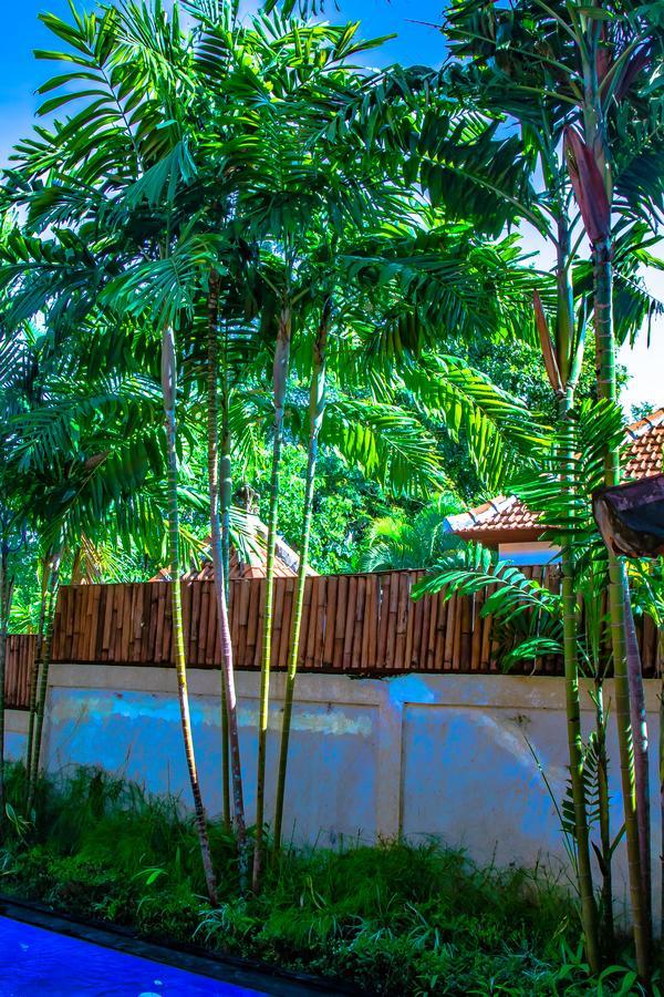 Impian Guest house 3*