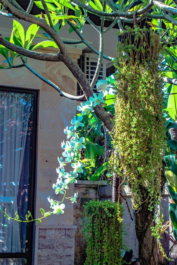 Impian 3* Canggu (Bali)