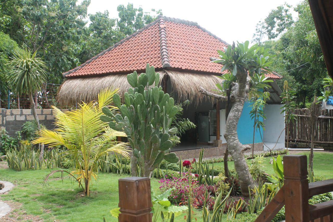 Beautiful House 2*