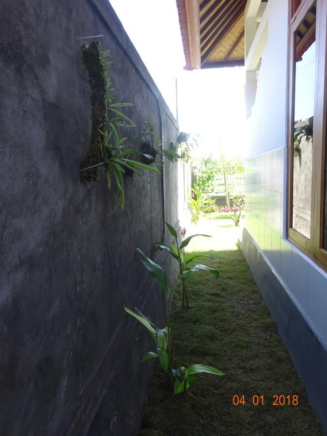 Murnis * Lovina (Bali)