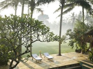 Resort Indigo Tree Ubud (Bali)