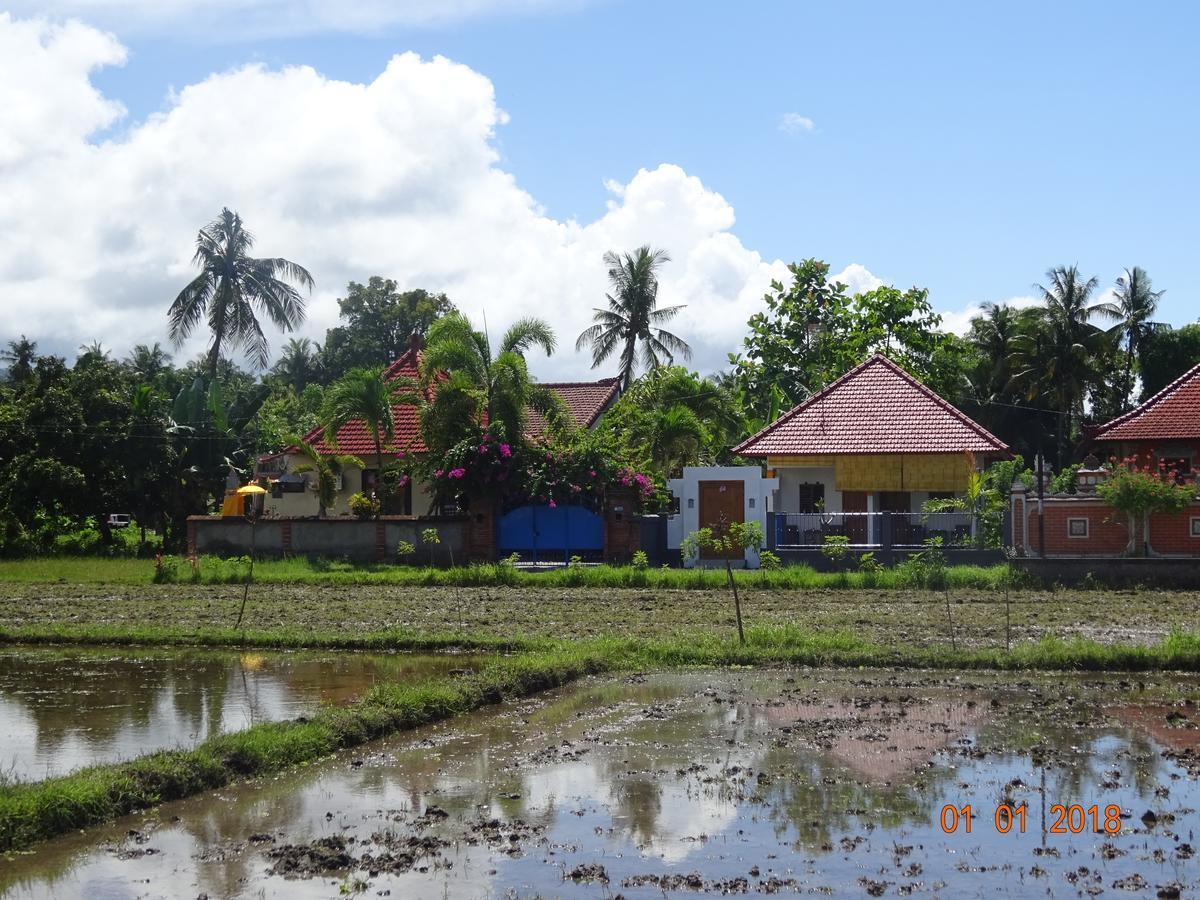 Murnis * Lovina (Bali)