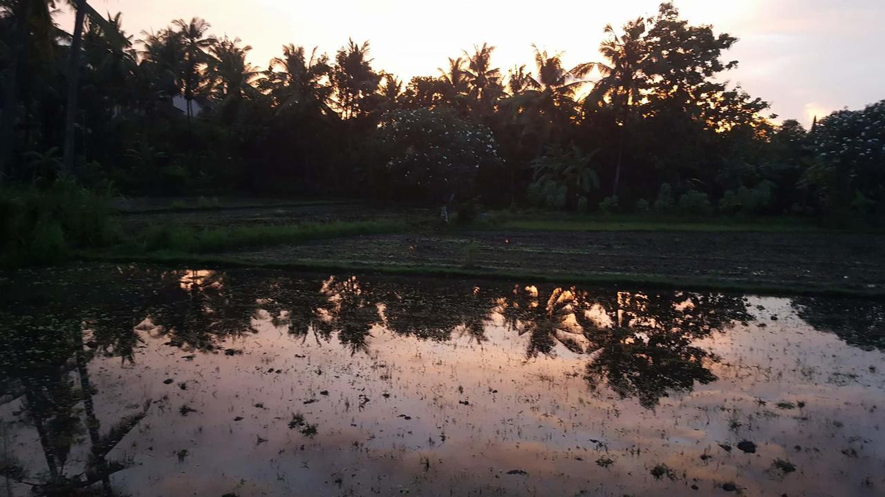 Murnis * Lovina (Bali)