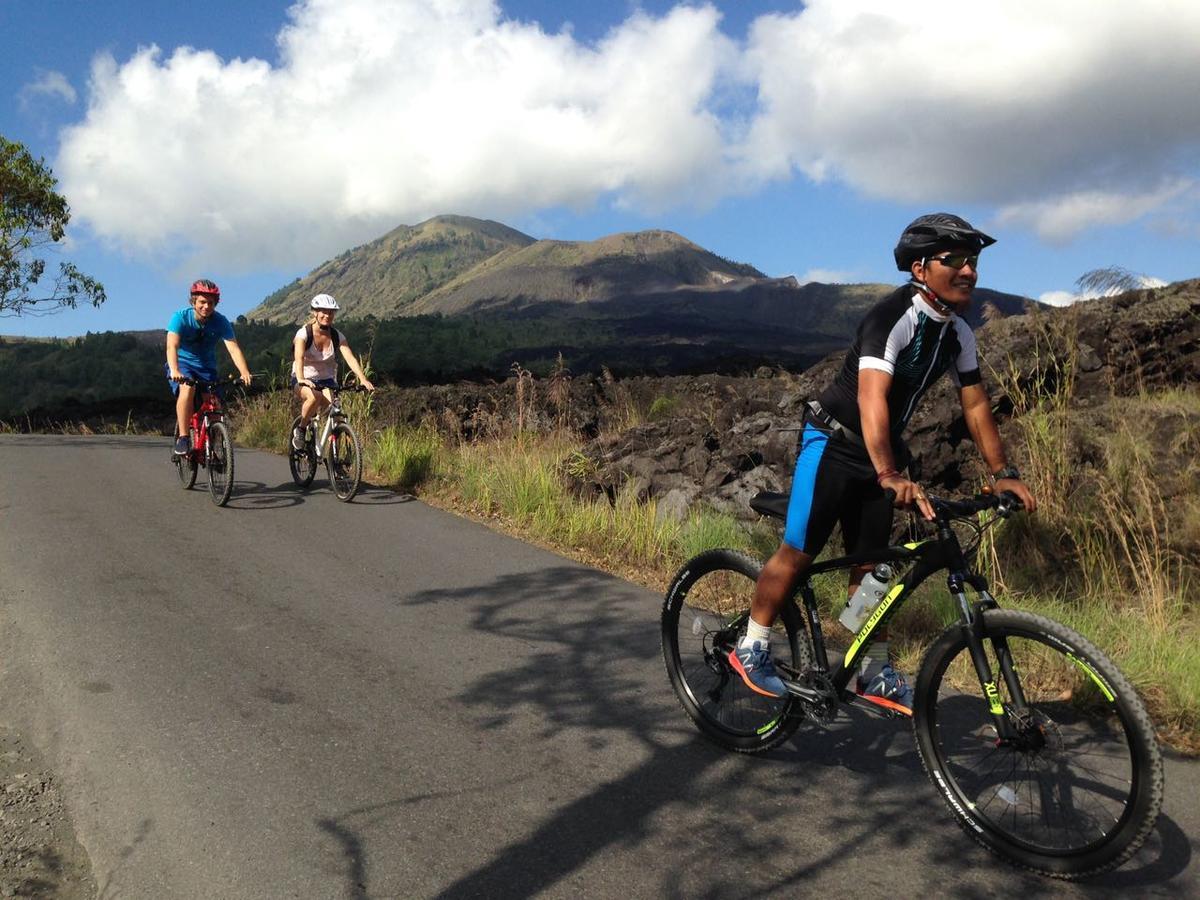 Hostel Black Lava And