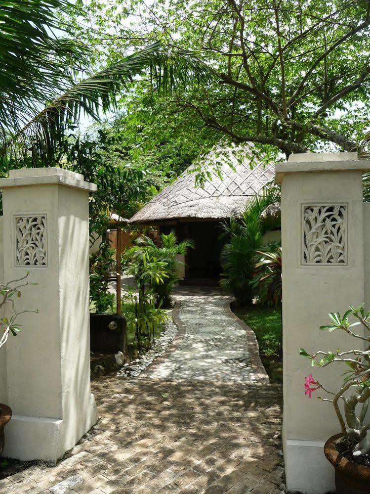 Coconuts Hummingbird Jimbaran (Bali)