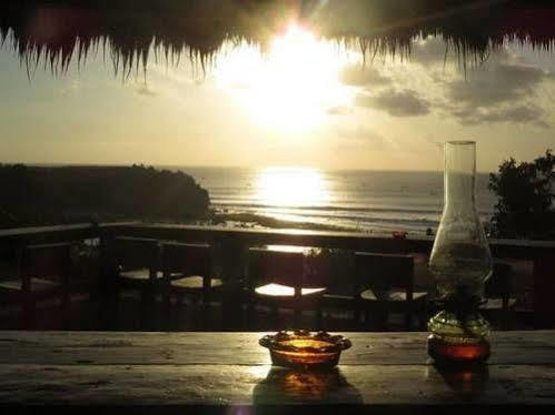 Coconuts Hummingbird Apartment *