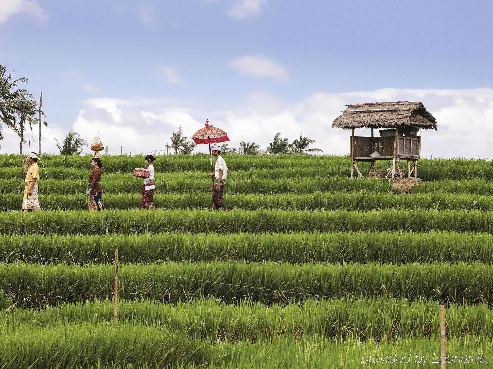 Ibis Styles Bali Benoa 4*
