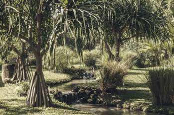 Hotel Reddoor Bali 5*
