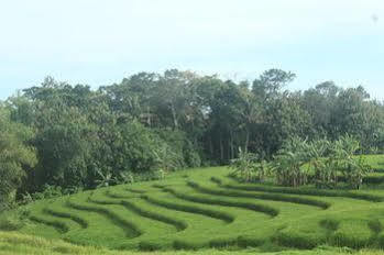 Nyanyi Sanctuary By Ini Vie Hospitality Villa Tanah Lot (Bali)