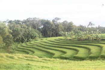 Nyanyi Sanctuary By Ini Vie Hospitality Villa Tanah Lot (Bali)