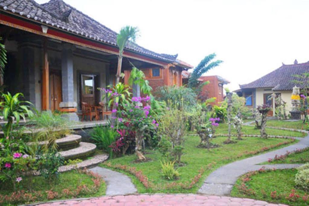 Puri Sunny 2* Munduk (Bali)