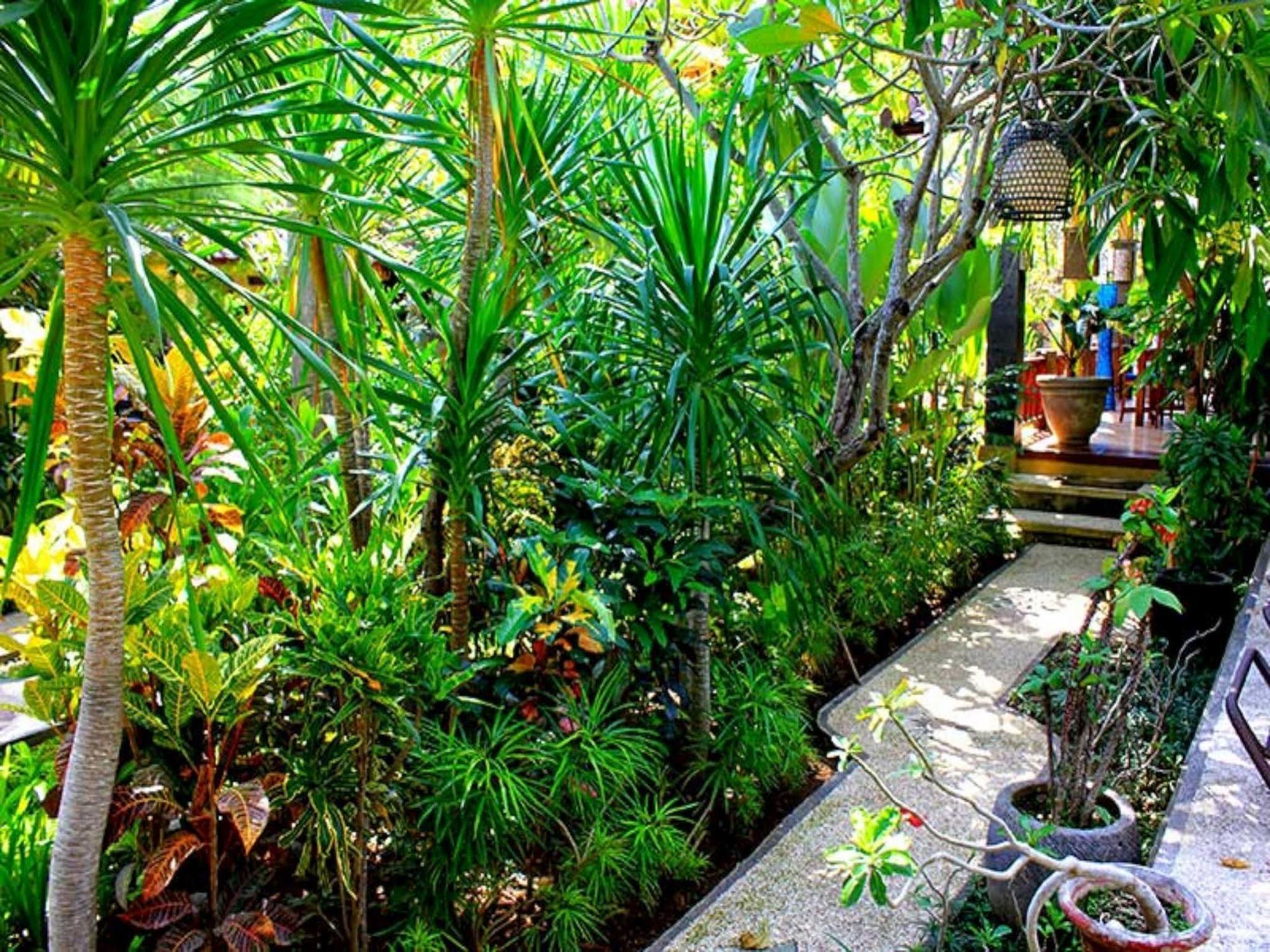 Alami Resort, Restaurant And Dive Center 3* Amed (Bali)