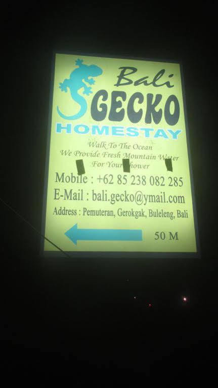 Homestay Bali Gecko