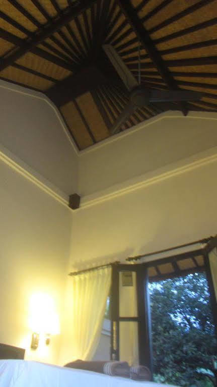 Homestay Bali Gecko Pemuteran (Bali)
