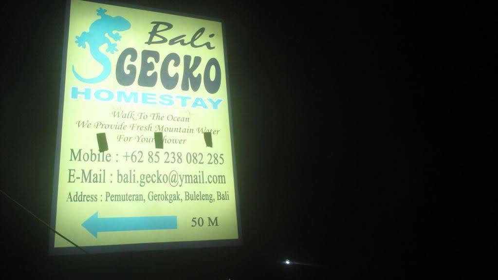 Bali Gecko *