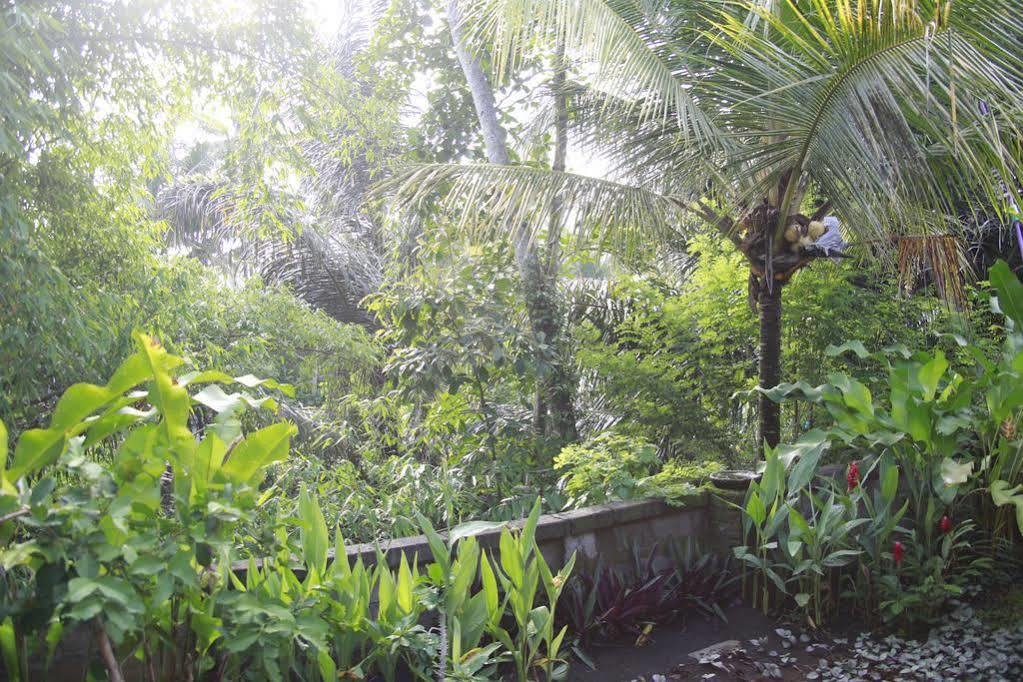 Guest house Tagel Karsa House Ubud (Bali)