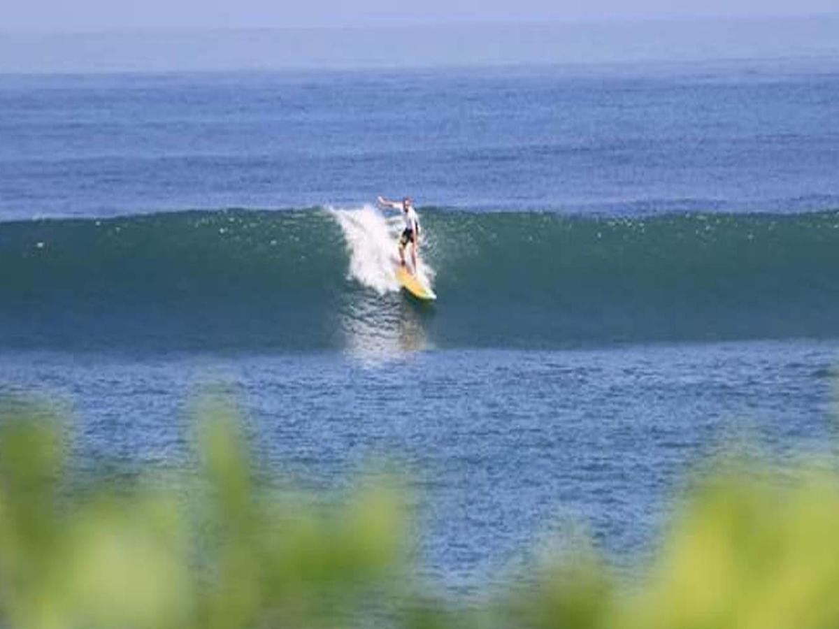The Nest Canggu (Bali)